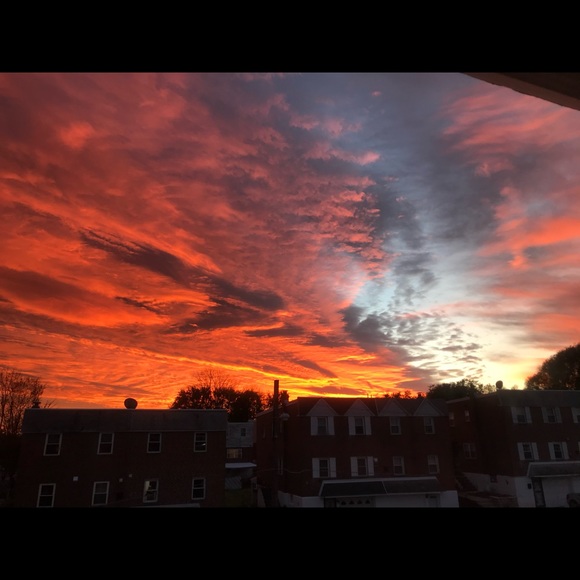 Meet your Posher, Nadia - Picture 1 of 1